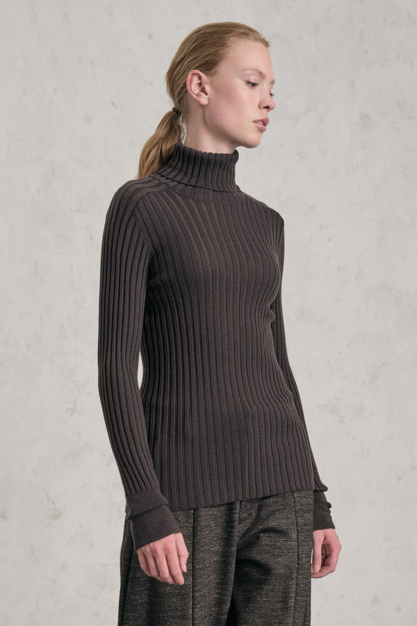 Turtleneck made of ultra-fine, wide-ribbed merino wool | 1019.CFDTDE-19542.490
