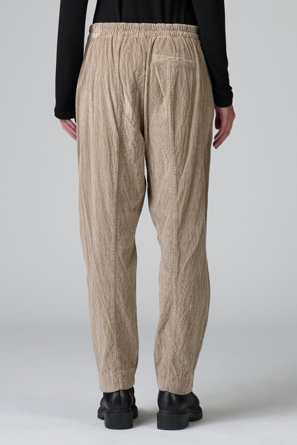 Pantalone regular fit in costina di velluto di viscosa e cotone stretch leggermente goffrato | 1016.CFDTRBP251.22