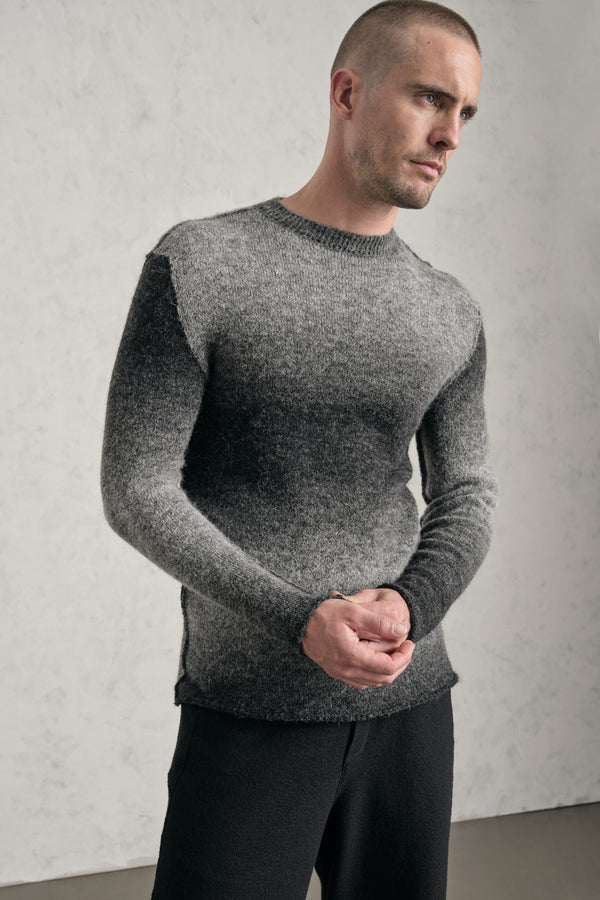 Regular-fit round neck knit in printed wool and alpaca blend yarn | 1019.CFUTRE19540.U312